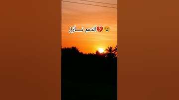 القارئ ياسر الدوسري 👍🌹 #قرآن #ياسر_الدوسري #سورة_المؤمنون #funny #ريال_مدريد #اكسبلور #freefire