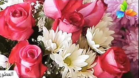 سورة القمر،،، الشيخ صلاح بو خاطر