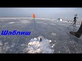 лещ щука и море плотвы все 5 метрах от палатки окунь тоже напоминает о себе но мы его отпугиваем...