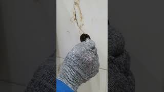 تجميع وتركيب مقعد المرحاض