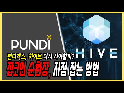펀디엑스, 하이브 다음은? | 잡코인 펌핑대란 저점 잡는 방법