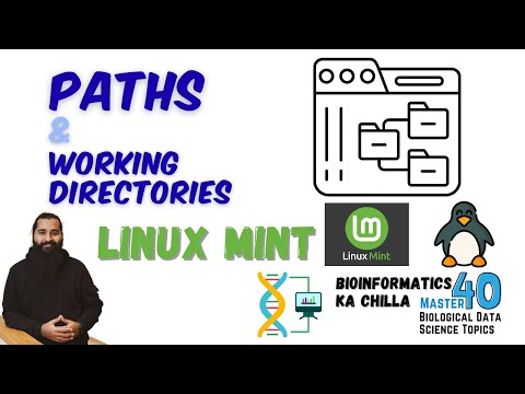 Paths and Working Directories in Linux | Absolute vs Relative Paths Explained