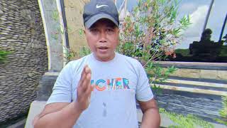 How to make best Balinese Black Rice Pudding recipe at home
