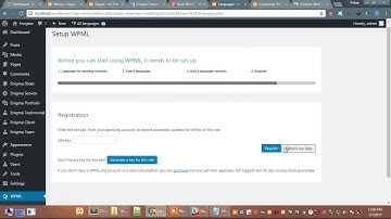 WordPress Themes translate with WPML Plugin