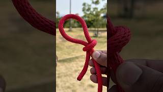 Slip Knot You Need To Know !
