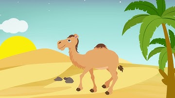 Camel - Hand Shadow Puppets