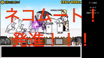 大 無双 にゃんこ 戦争 国士