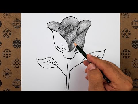 Kolay Yöntemle Gül Nasıl Çizilir Adım Adım Gül Çizimi Kolay Çiçek Çizimleri 2022
