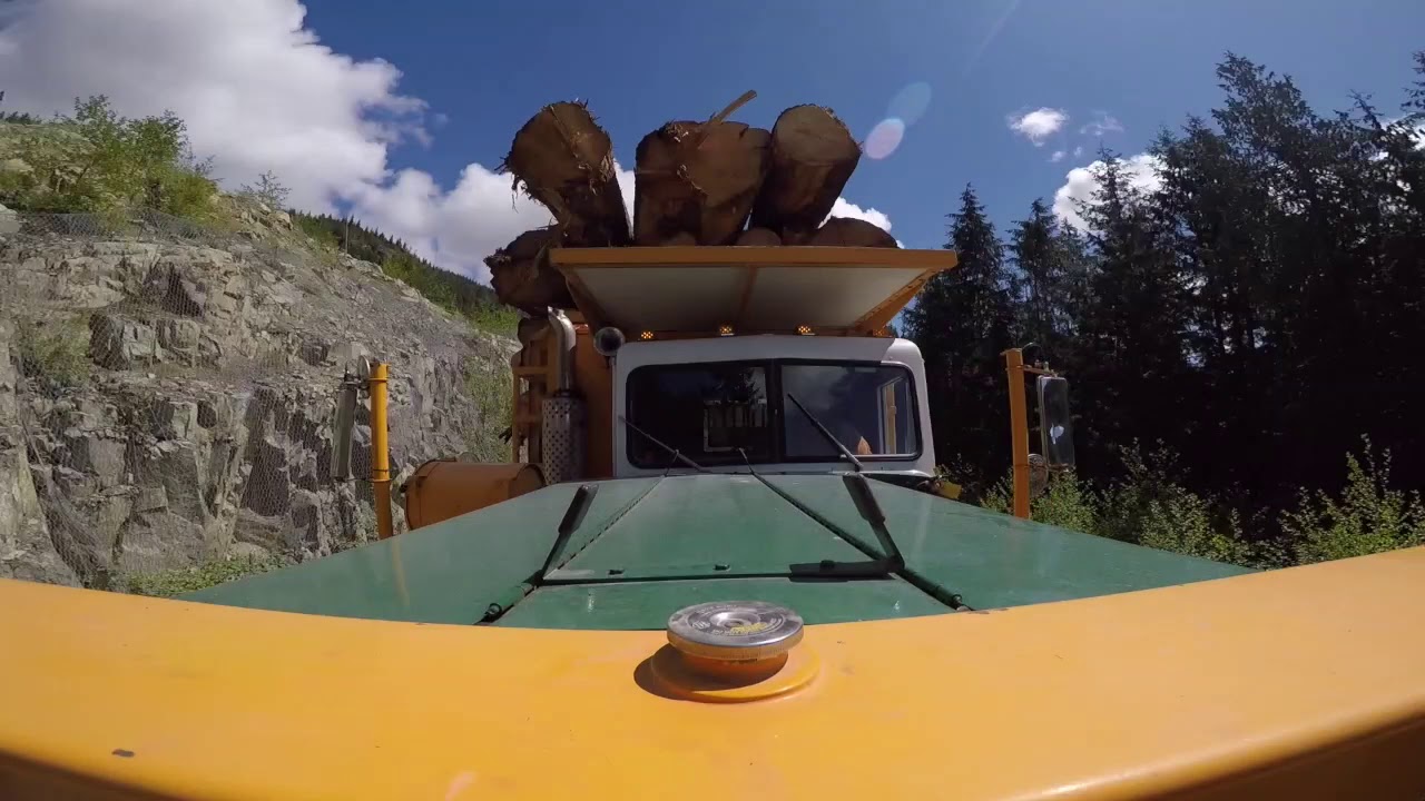 timelapse -- harvest 1000+ devil's giant python, use... timelapse - YouTube