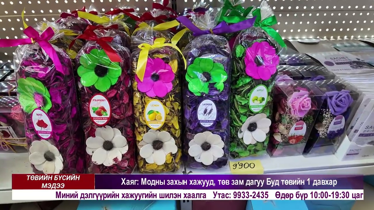 Төвийн бүсийн мэдээллийн хөтөлбөр 2026-01-13