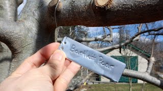 Aluminum Impression Permanent Plant and Tree Tags Review screenshot 1