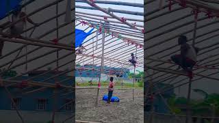 suraj sound and tent house chanchura #marrigehall #tenthouse #bhojpuri #tent