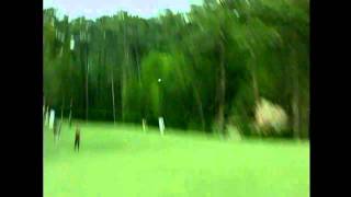 Tiger Woods: The Tiger Slam