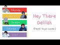 Feral Boys - Hey There Delilah Cover (Color Coded Lyrics)