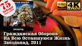 Гражданская Оборона - На Всю Оставшуюся Жизнь (Звездопад), 2011, Vinyl video 4K, 24bit/96kHz