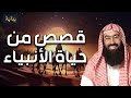نبيل العوضي قصص من حياة الأنبياء قصص رووعة ستعيد سماعها أكثر من مرة 