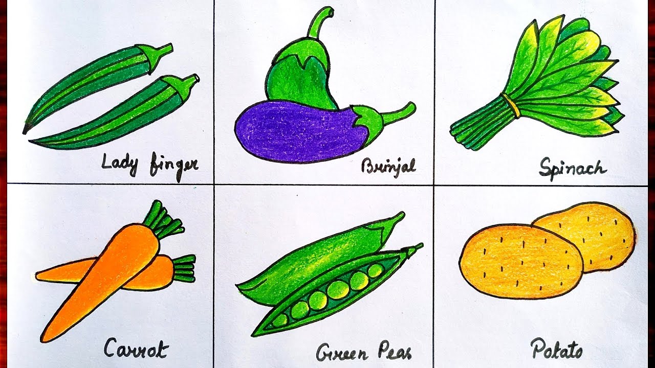 179,760 Green Vegetables Drawing Images, Stock Photos & Vectors |  Shutterstock