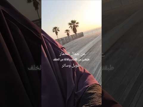 جمال الخمار الشيفون ٣طبقات عاللبس بيسطل حجاب حجاب استایل    فلسطين