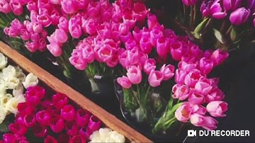 آيات قصيرة من سورة ابراهيم