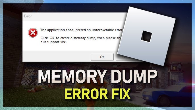when I launch roblox it says the application encountered an
