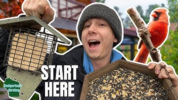 Bird Feeding 101: The ULTIMATE Beginner