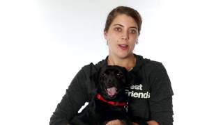 Adopt Liam at NKLA
