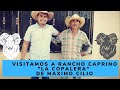 RANCHO CAPRINO "LA COPALERA" DE MÁXIMO CILIO