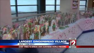 NYC chef attempts to break world record with gingerbread houses