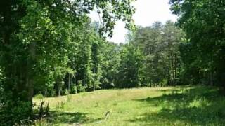 $257,500 3BR 2BA in GERMANTON 27019.  Call  Lou Jewell ALC: (336) 669-1405