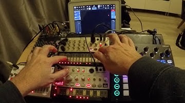 Volca Circuit Sunrizer Poison 202 Deep Tech House Session 6
