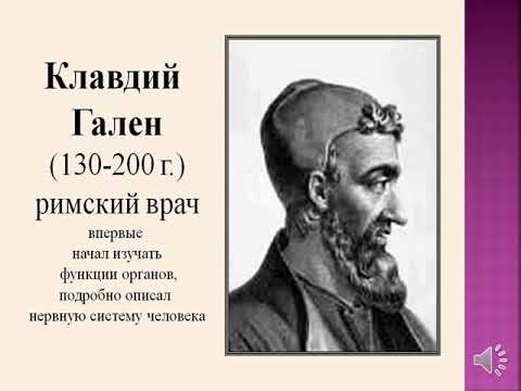 Лекция. Часть 1 .Конституция человека  Базовые принципы морфологической типологии.