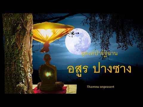 thamnu onprasert ๒๕๓ อสูร ปางซาง ธุดงค์ป่ารัฐฉาน ๒๕๓. อสูร ปางซาง ธุดงค์ป่ารัฐฉาน