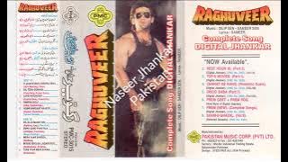 Dil Tera Deewana Hai ( Pmc Digital Jhankar ) Movie Raghuveer 1995