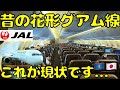 【乗客いるの？】日本人が行かなくなったグアム🇬🇺からJAL直行便で東京/成田🇯🇵に帰国すると...