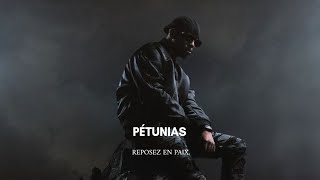 Werenoi - Pétunias ( Club tribute by Dj Aggressive )