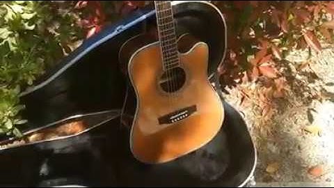 New 2019 Zager Easy Play  ZAD80CE Professional Aura Edition Acoustic Electric Guitar