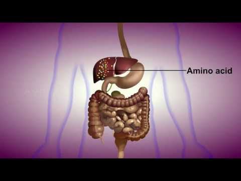 Detection of Urea in Urine - MeitY OLabs