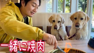 犬と一緒に食べられる焼肉屋に行ってきました【焼肉うしすけ】