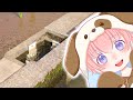 水路と水田 / 柚葉 Yuzuha【オリジナル】Nature Sounds Babbling Brook Sounds #naturesounds 勉強用BGM