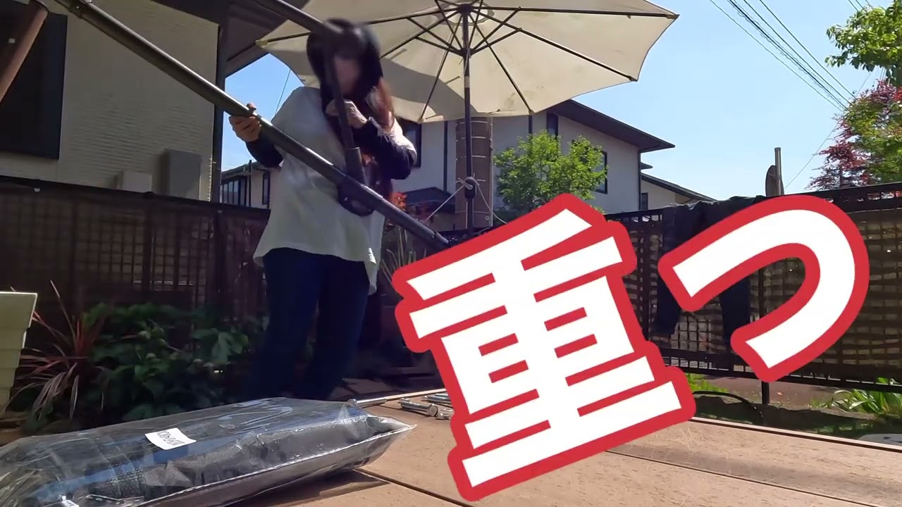 【午前】隣国からやって来たガーデンパラソルの組み立てに苦戦　ゴールデンレトリバー