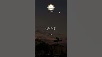 سورة المائدة القارئ سيد سعيد القرآن الكريم
