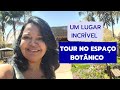 TOUR pelo Paraíso das #plantas