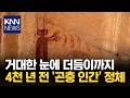 "이게 진짜 고대 유물이라고?" 외계인 닮은 암각화 '화제'