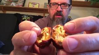 Chocolate 7Pot Slimer Review For Andy Goodrich! Tasty!! HOT!!