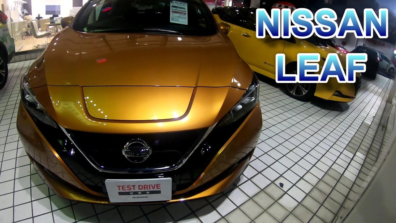 Nissan leaf g