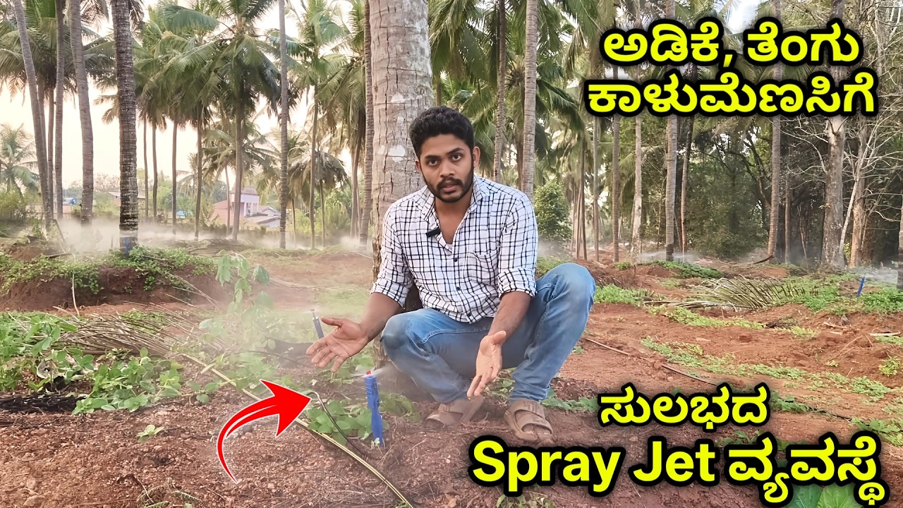 ತೋಟಕ್ಕೆ ಸ್ಪ್ರೇ ಜೆಟ್ ನೀರಾವರಿ ವ್ಯವಸ್ಥೆ ಸುಲಭವಾಗಿ ಹೀಗೆ ಮಾಡಿ. PRV, Floater ಬಗ್ಗೆ ತಿಳಿಯಿರಿ.