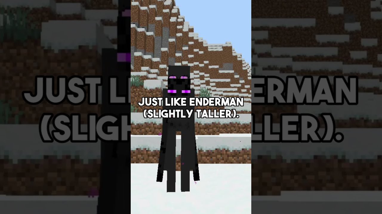 THE ENDERMAN GOT A WOMAN MCPE 