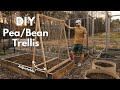 How to build the ultimate peabean trellis