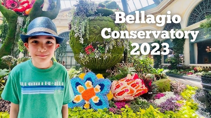 Bellagio Conservatory & Botanical Gardens, January 2023 – spencesgirl