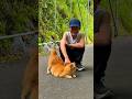 高千穂の八大龍王水神にいる猫ちゃんと遊ぶ　#かえであーたん